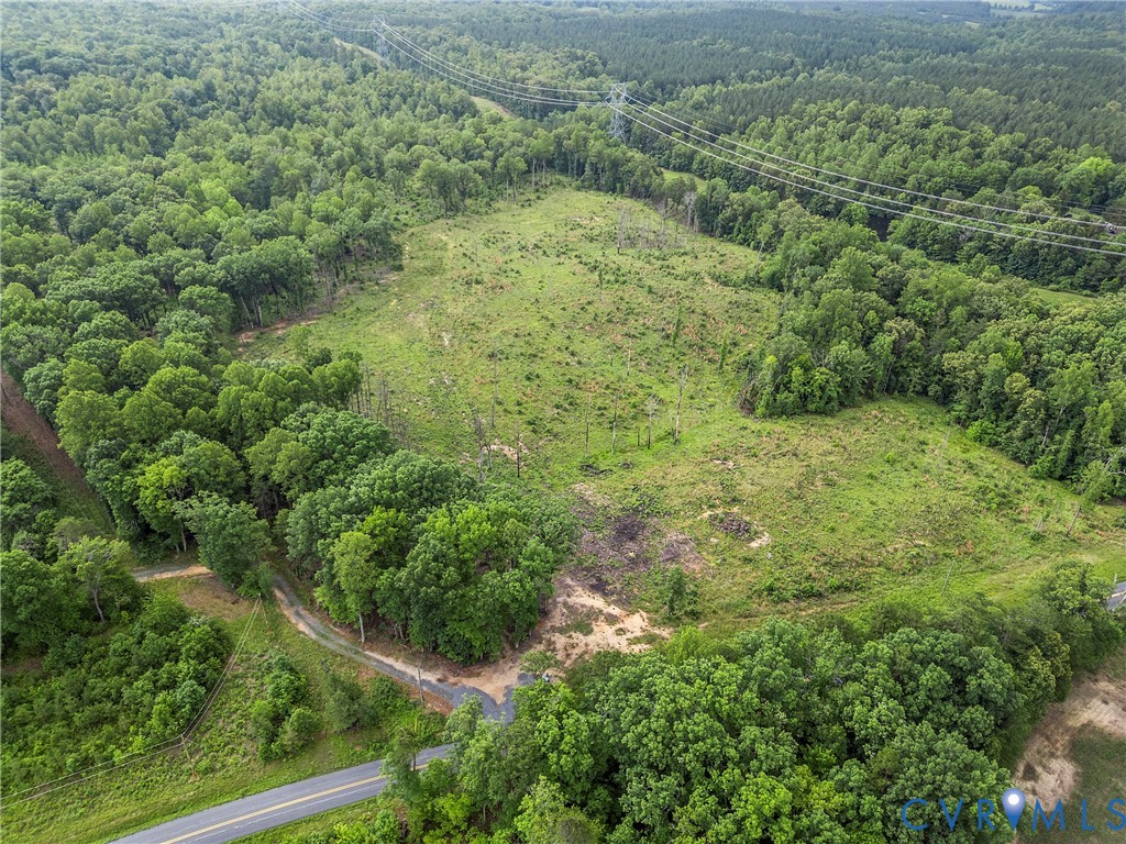 0 Carysbrook Road Palmyra, VA 22963 - Photo 12 of 19