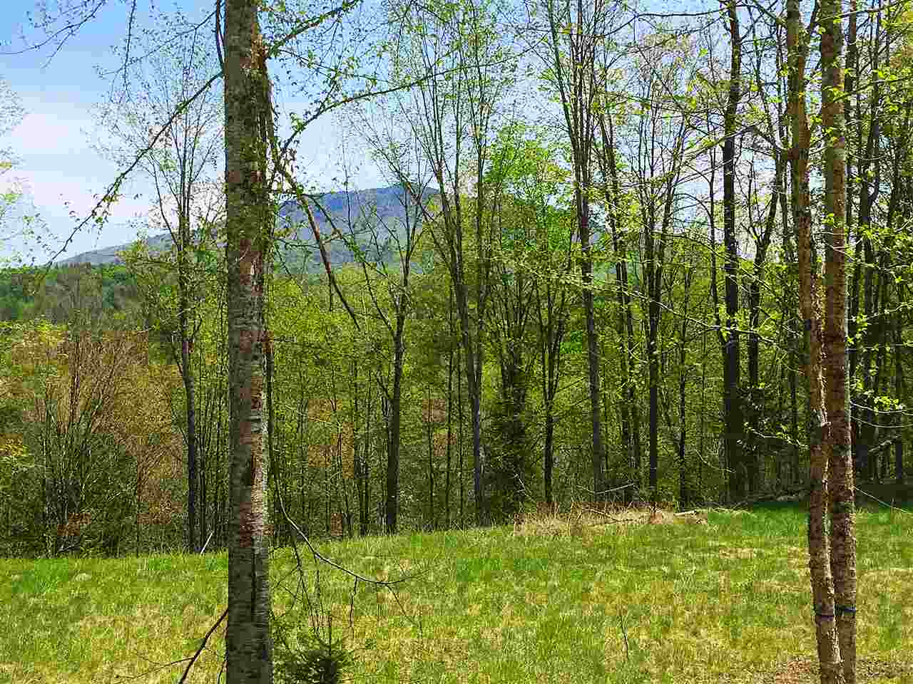 East Darling Hill Road, Unit 5 Lyndonville, VT 05851 - Photo 1 of 12 Gallery Image 1