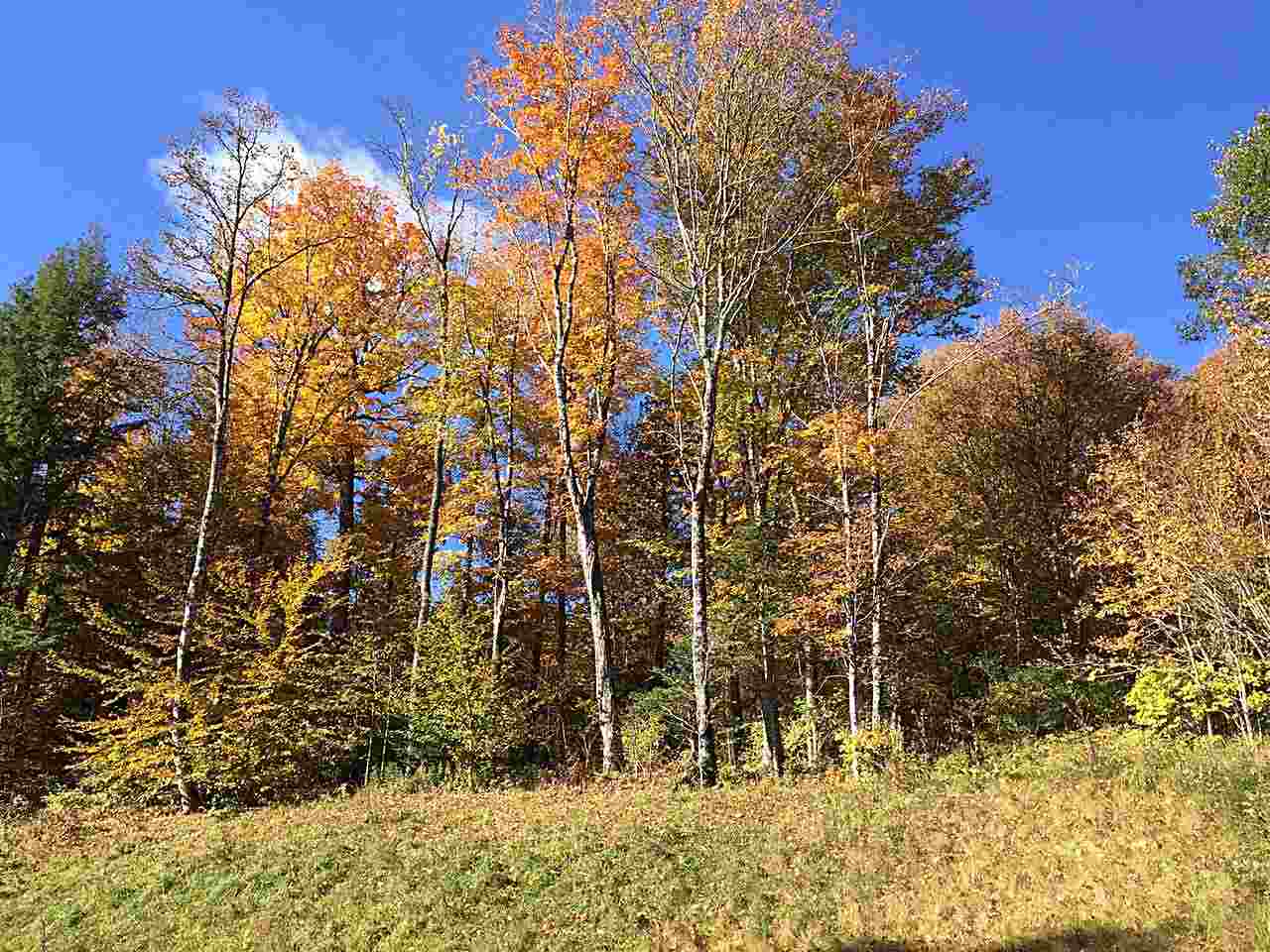 East Darling Hill Road, Unit 5 Lyndonville, VT 05851 - Photo 11 of 12 Gallery Image 11