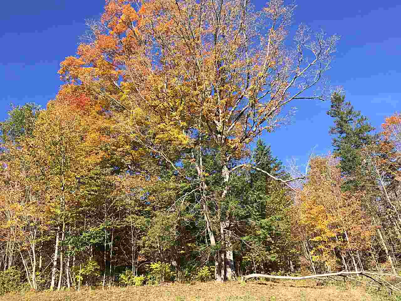 East Darling Hill Road, Unit 5 Lyndonville, VT 05851 - Photo 12 of 12 Gallery Image 12