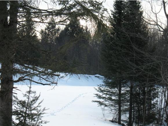 East Darling Hill Road, Unit 5 Lyndonville, VT 05851 - Photo 5 of 12 Gallery Image 5