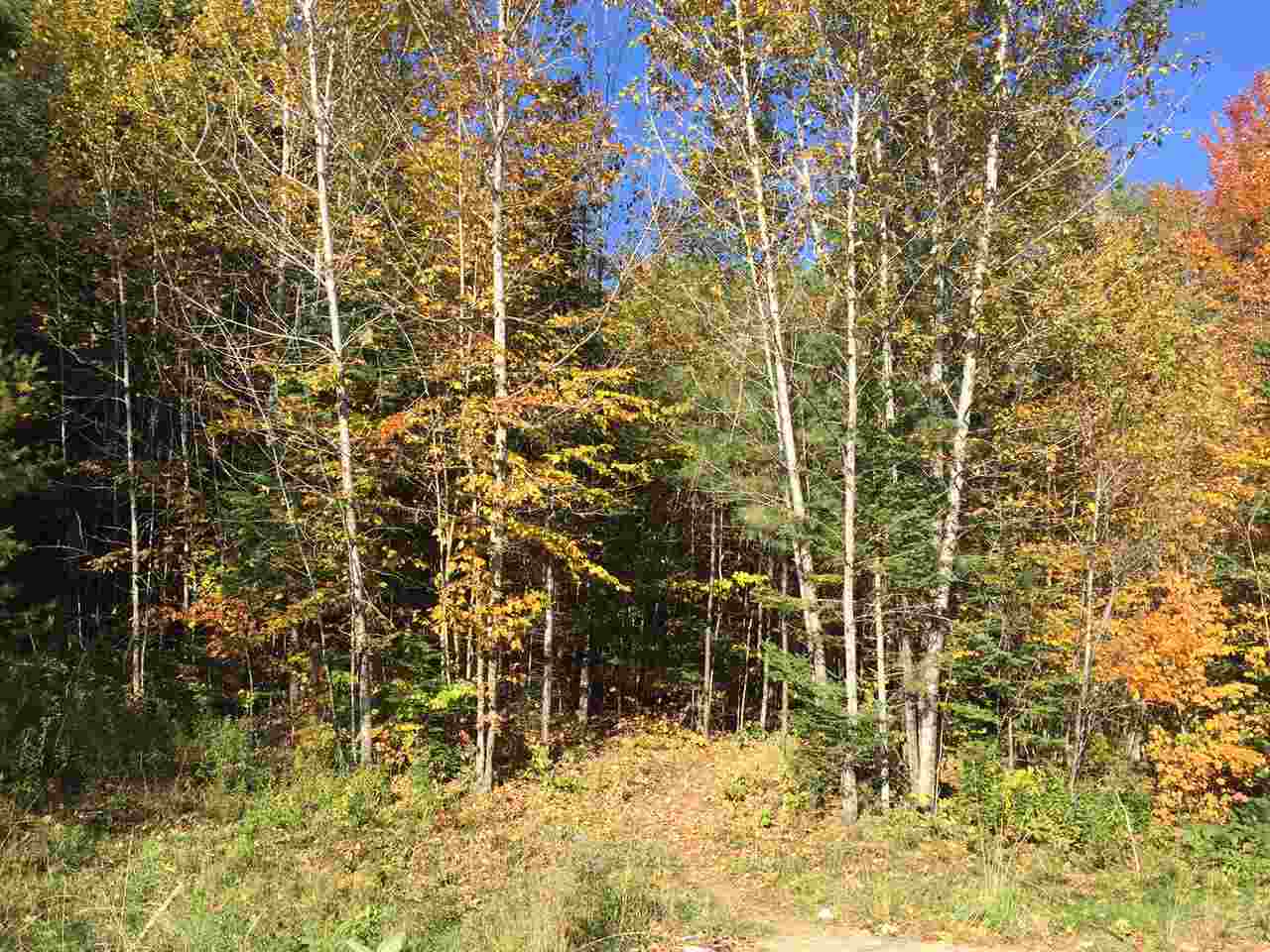 East Darling Hill Road, Unit 5 Lyndonville, VT 05851 - Photo 9 of 12 Gallery Image 9