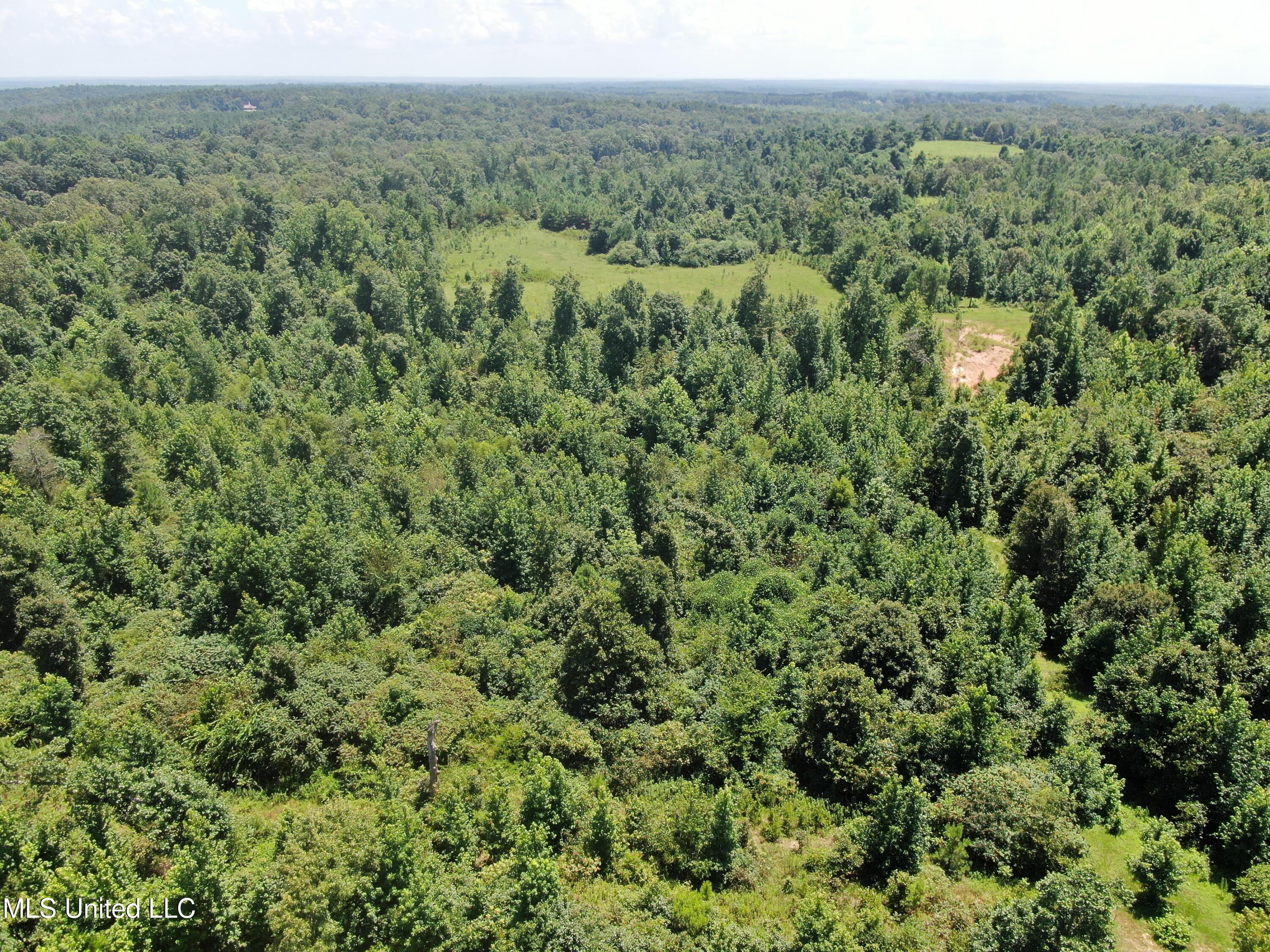 1980 Higdon Road Holly Springs, MS 38635 - Photo 5 of 13 DJI_0640