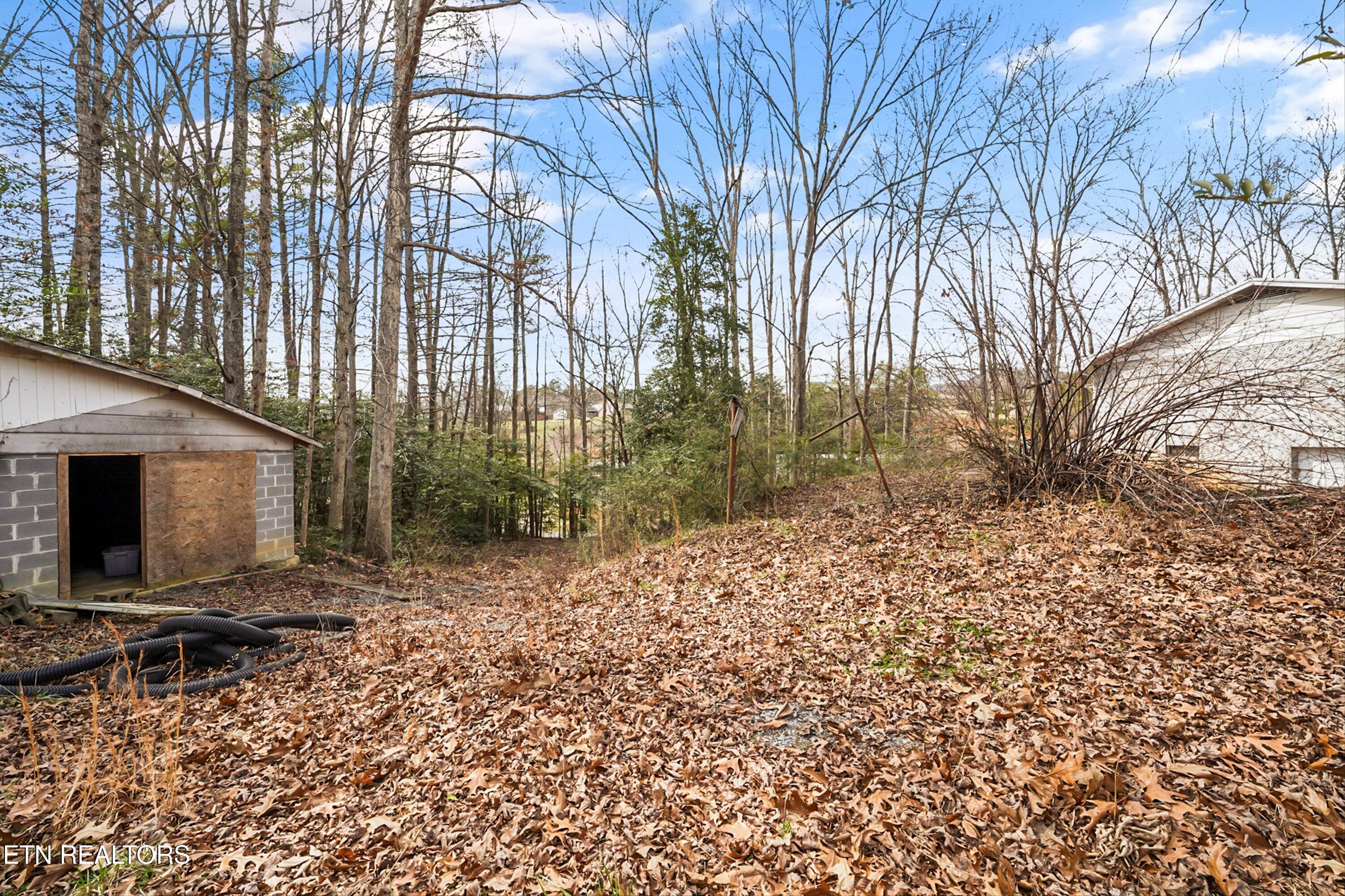 1360 Lower English Creek Road Newport, TN 37821 - Photo 28 of 45 28-1360 Lower English Creek Rd 29