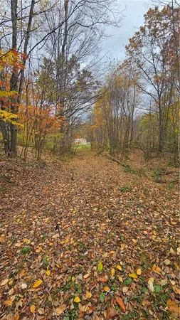 $160,000 | 136 Dubois Lane, Oxford, NY 13830