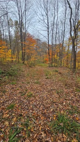 $160,000 | 136 Dubois Lane, Oxford, NY 13830