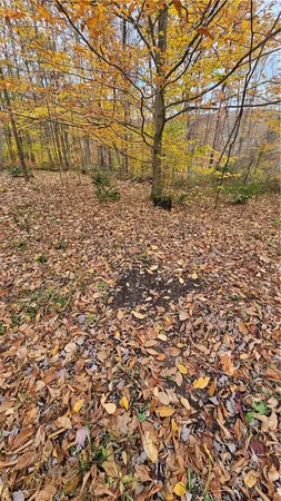$160,000 | 136 Dubois Lane, Oxford, NY 13830