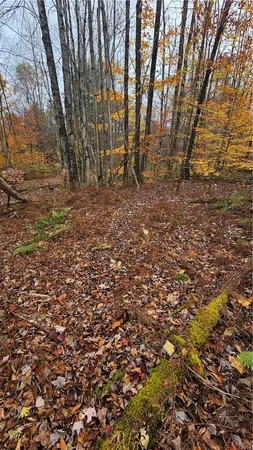 $160,000 | 136 Dubois Lane, Oxford, NY 13830