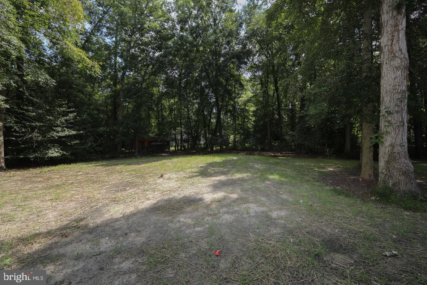 154 Ridge Road Southampton, NJ 08088 - Photo 45 of 48 Serene wooded lot ready for dreams.