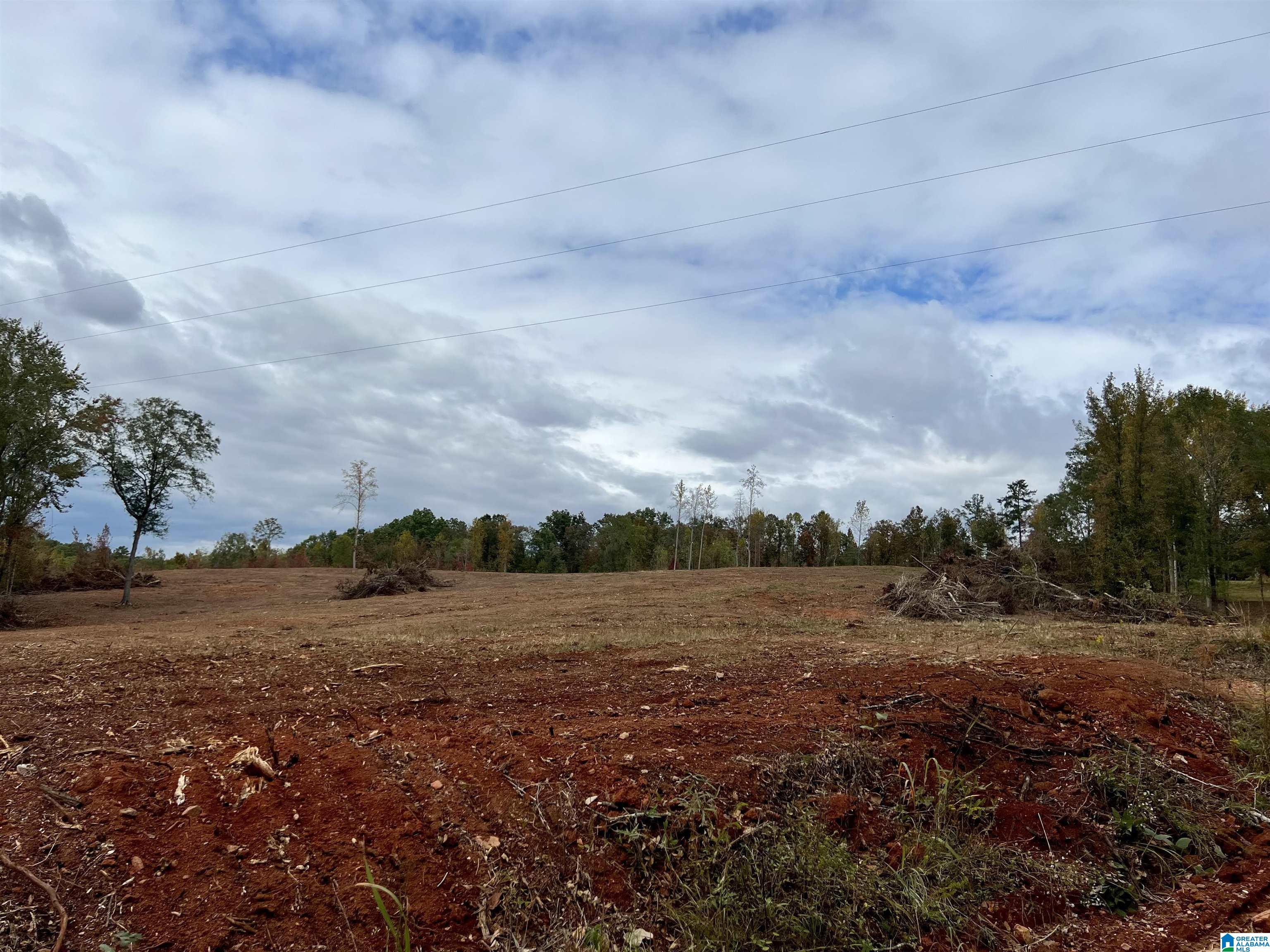 0 County Road 4 Wedowee, AL 36278 - Photo 11 of 24