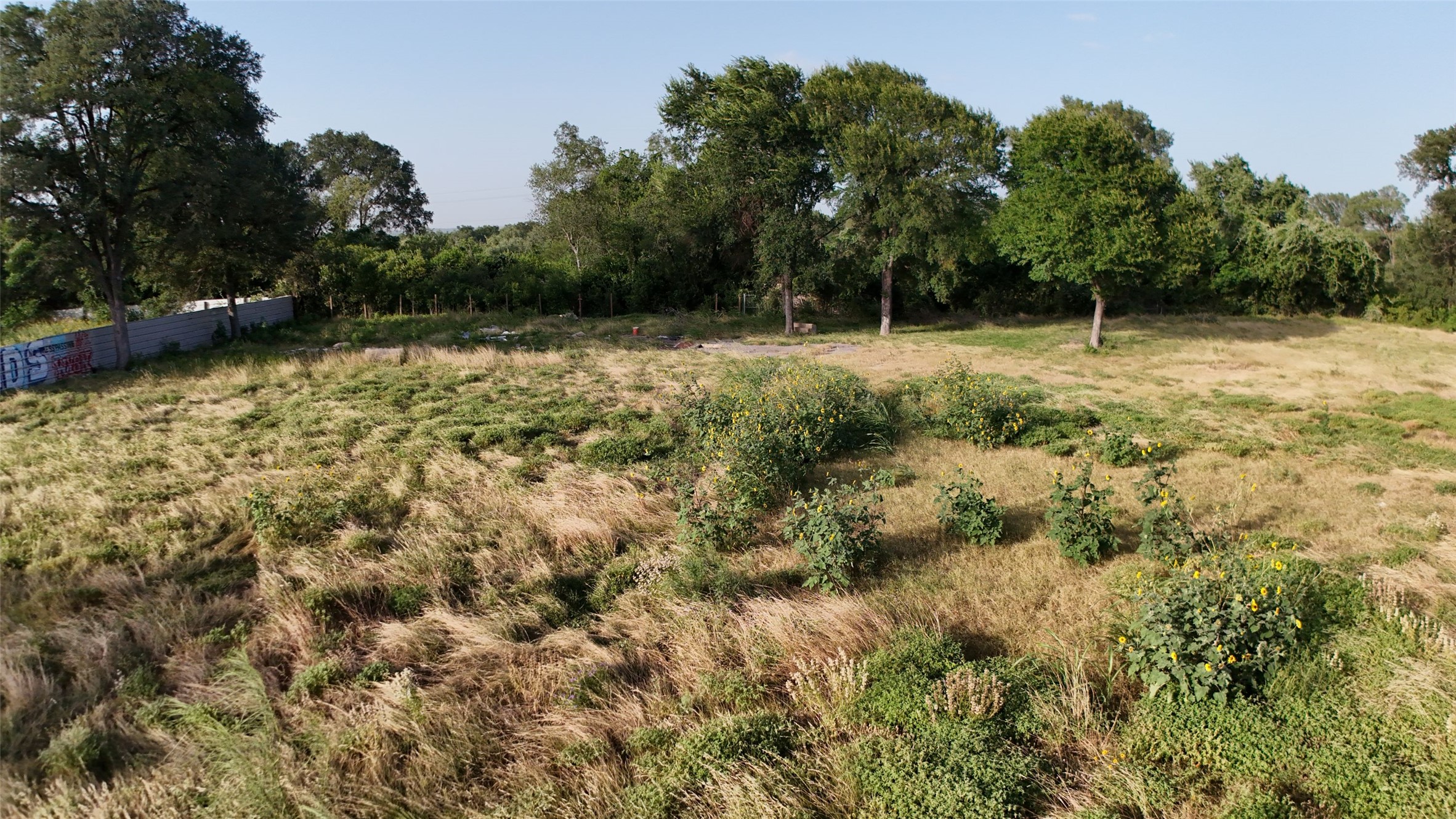 0 Bastrop Highway Austin, TX 78742 - Photo 5 of 6 A spacious, uncultivated parcel of land awaits development, surrounded by verdant trees and a clear sky.