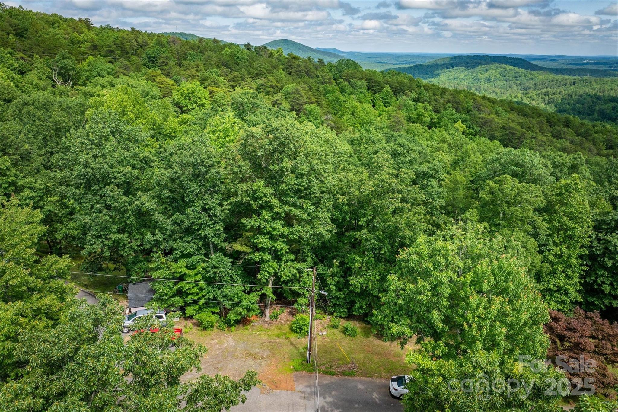 0 Methodist Park Road Valdese, NC 28690 - Photo 11 of 11 a view of a garden