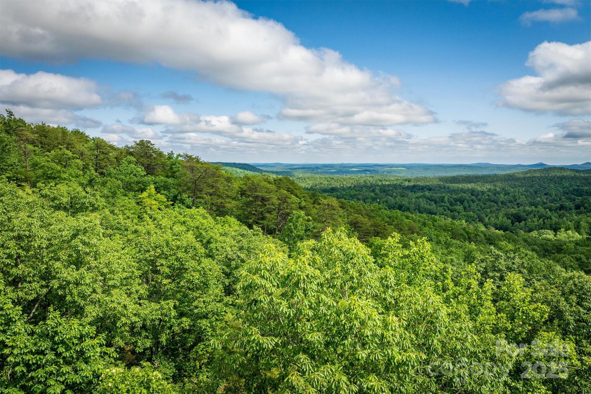 0 Methodist Park Road Valdese, NC 28690 - Photo 6 of 11 a view of a big yard