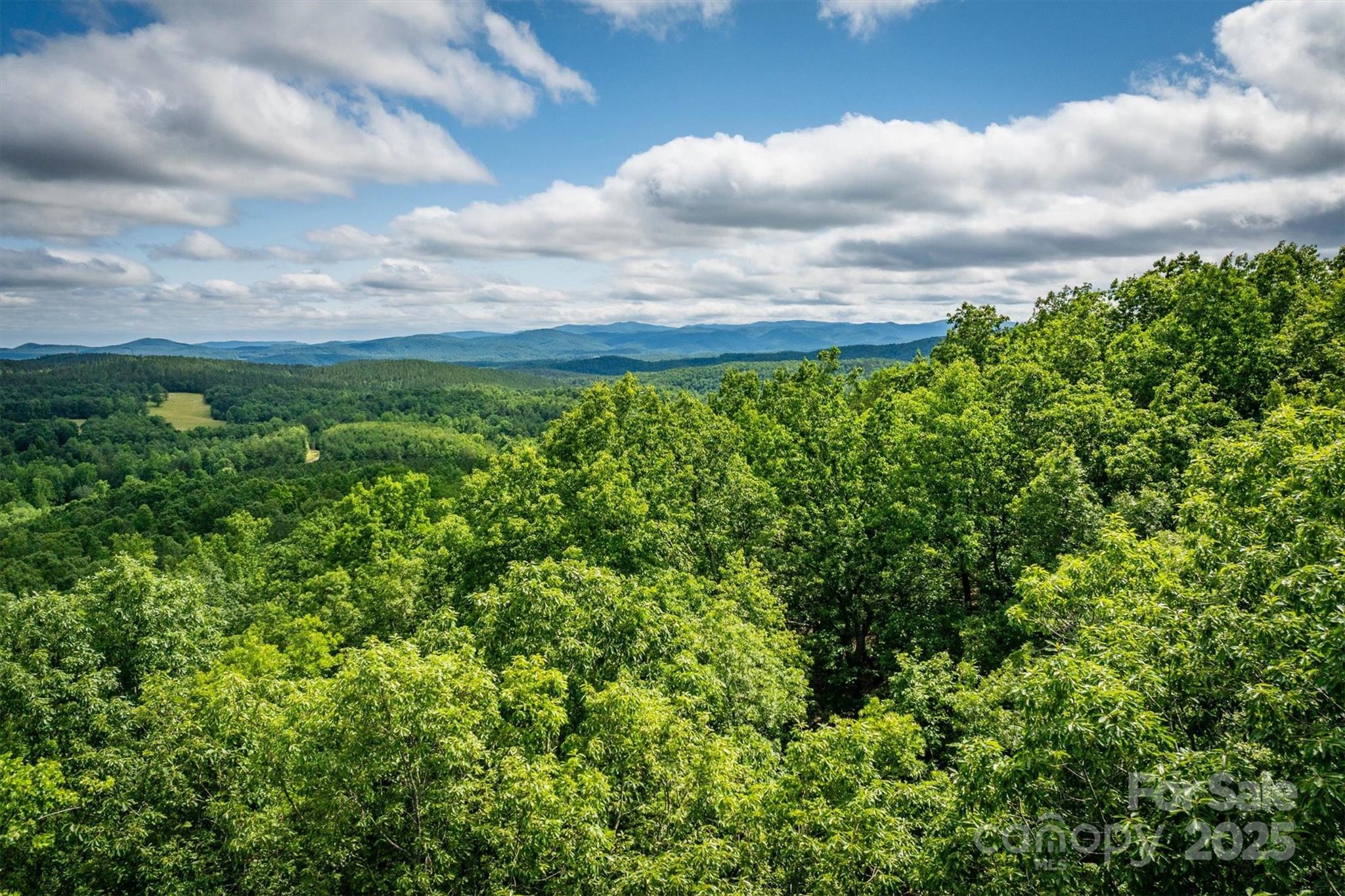 0 Methodist Park Road Valdese, NC 28690 - Photo 7 of 11 a view of a bunch of trees