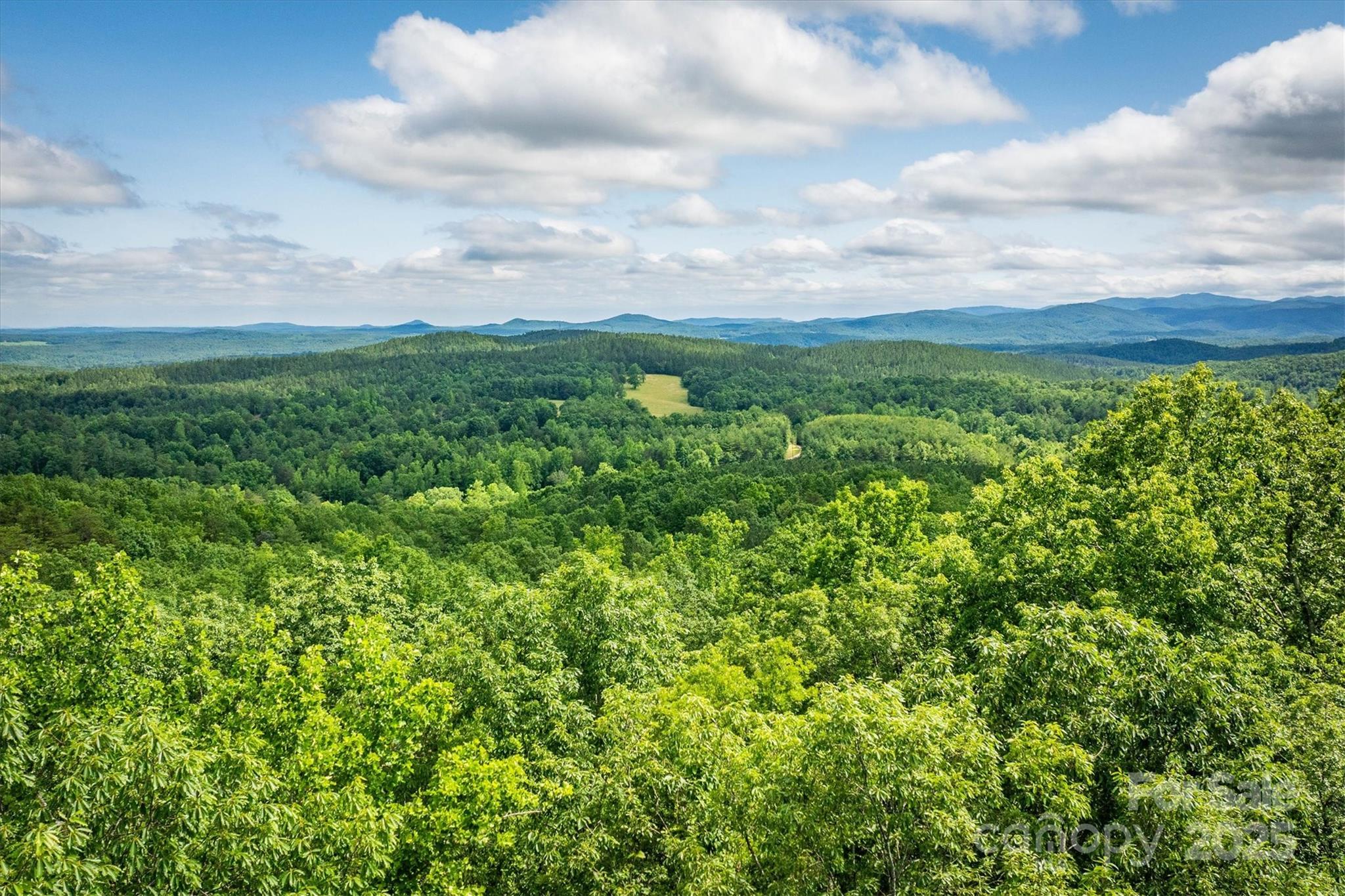 0 Methodist Park Road Valdese, NC 28690 - Photo 8 of 11 a view of a bunch of trees