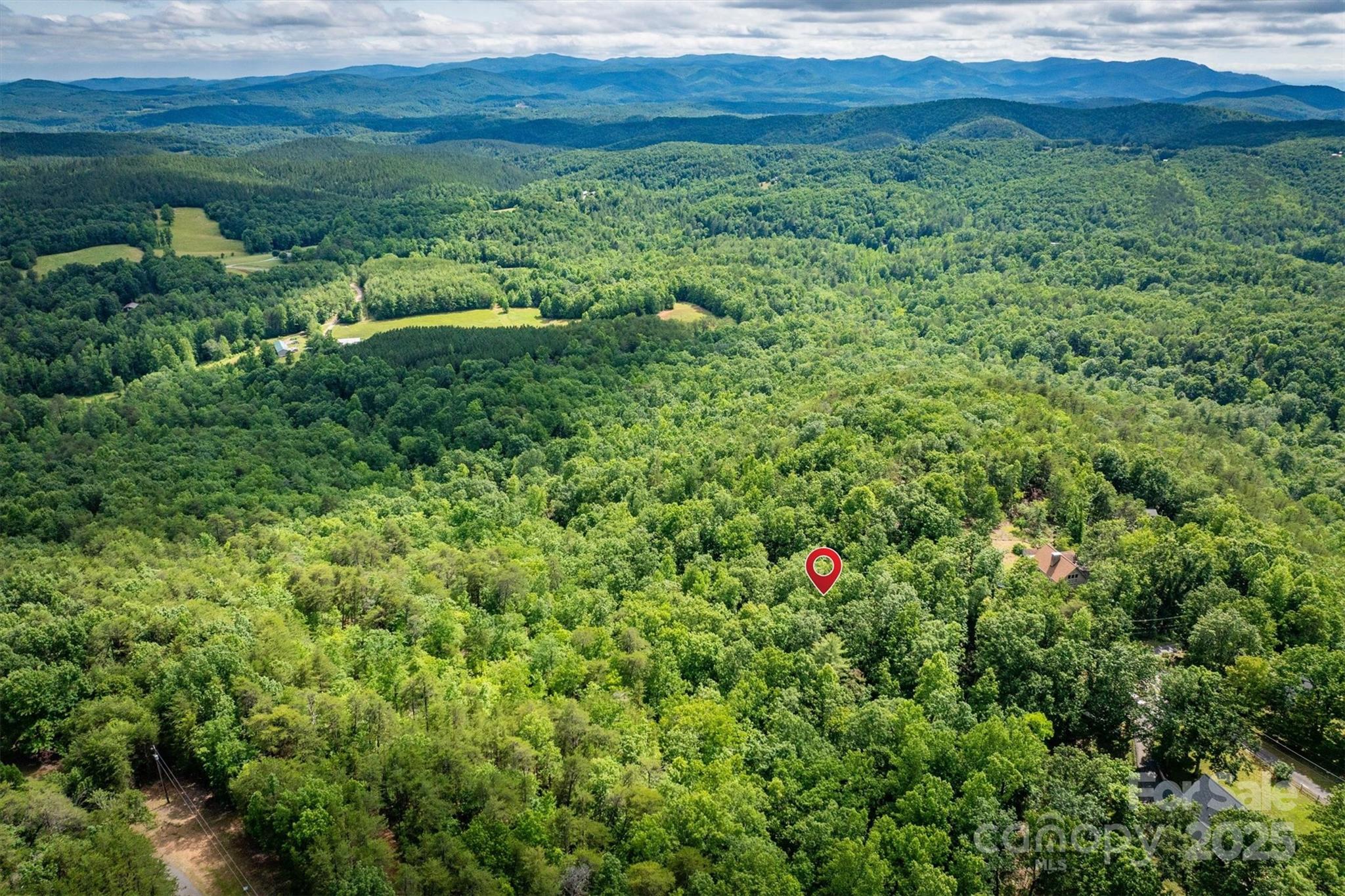 0 Methodist Park Road Valdese, NC 28690 - Photo 10 of 11 a view of a lush green forest with trees and some houses
