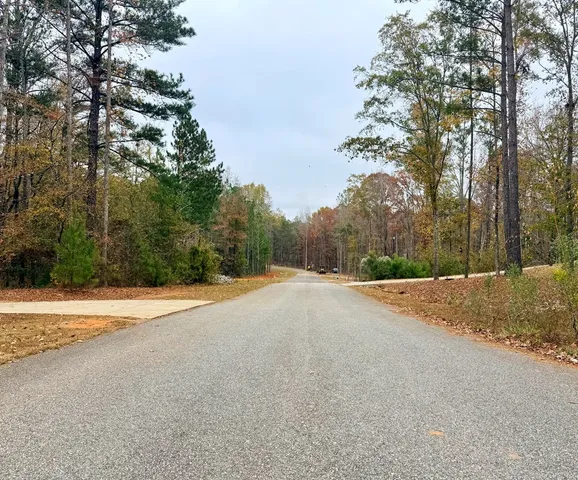 a view of a backyard of a house