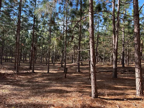 $52,500 | Lot 7-3 -ac Cty Road, Newville, AL 36353
