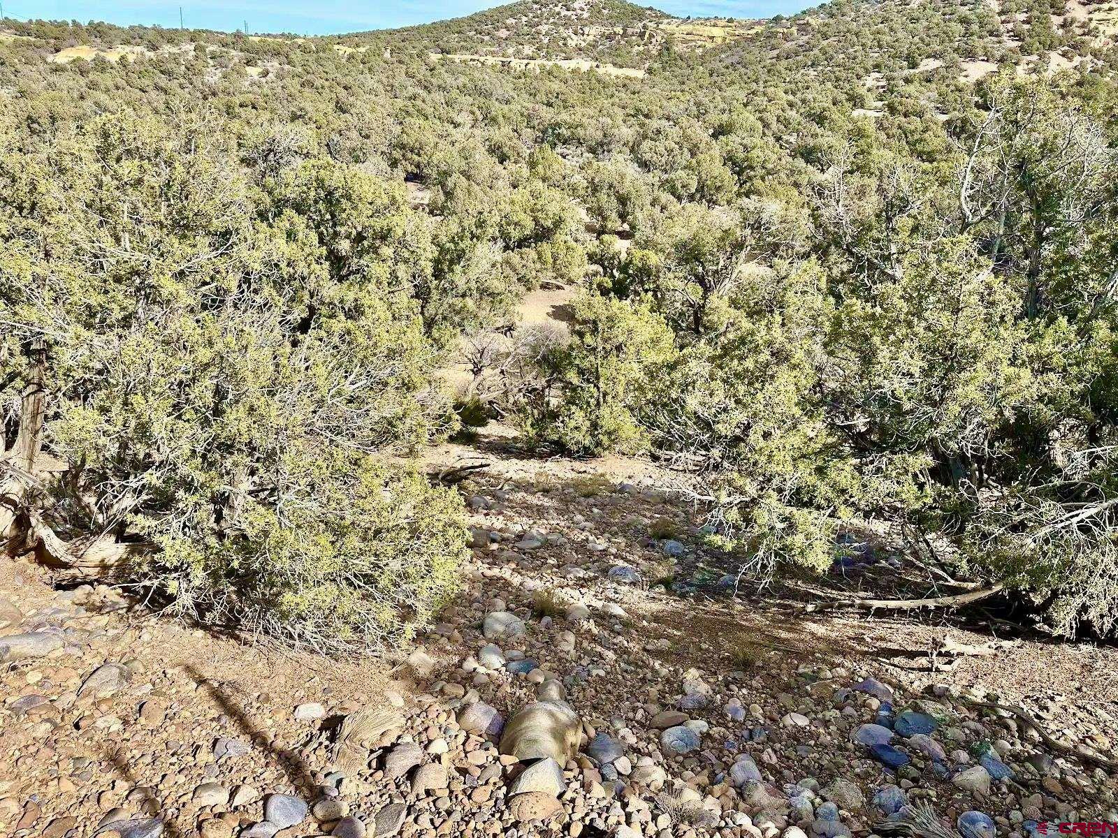 0 Cr 2550 Road Aztec, NM 87410 - Photo 1 of 10 a view of a field with an outdoor space