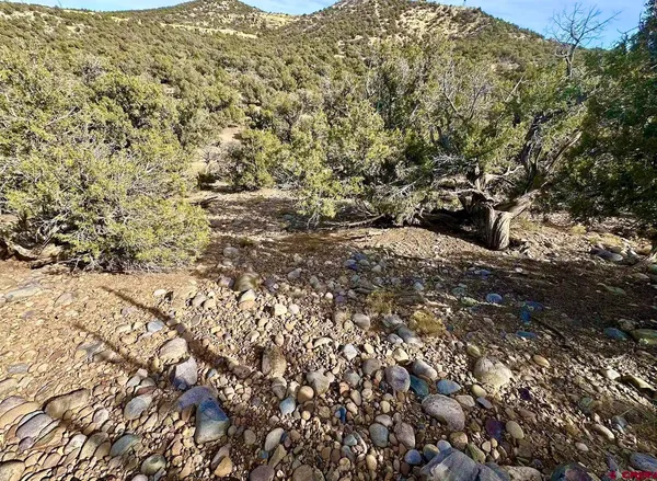 a view of a field with some trees