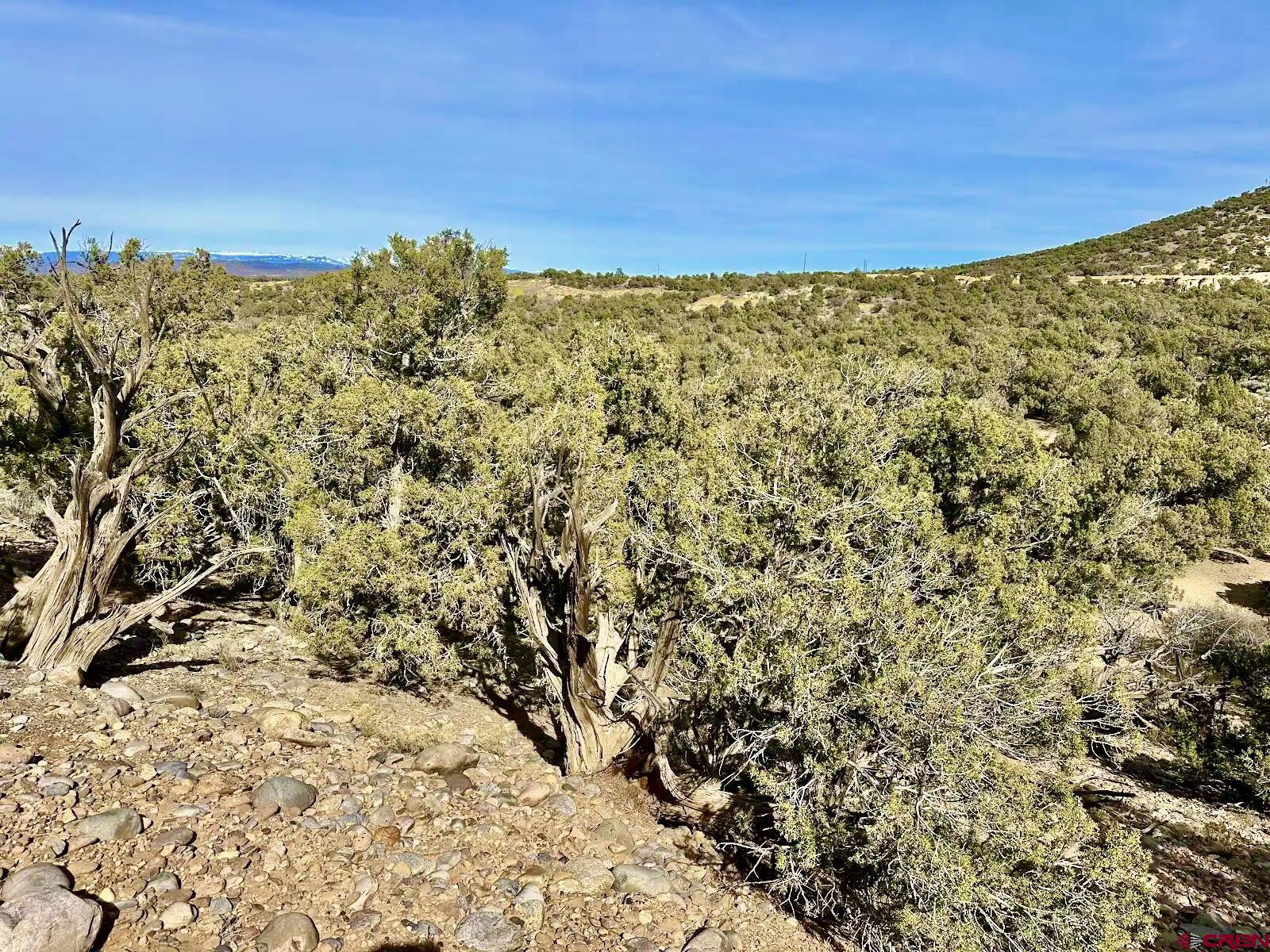 0 Cr 2550 Road Aztec, NM 87410 - Photo 5 of 10