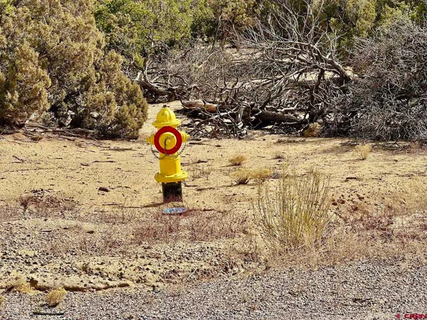 a view of water from a window