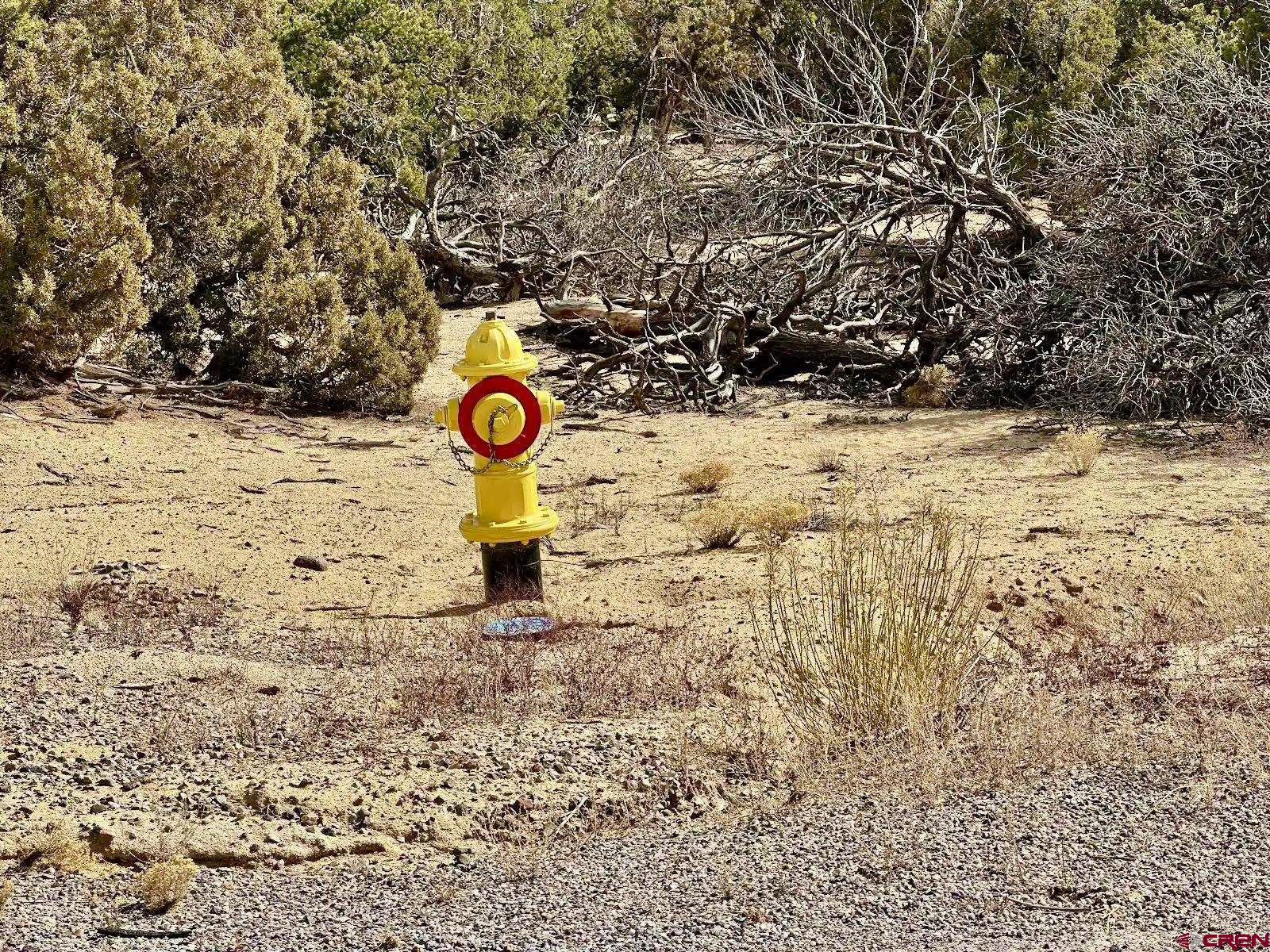 0 Cr 2550 Road Aztec, NM 87410 - Photo 9 of 10 a view of mountains