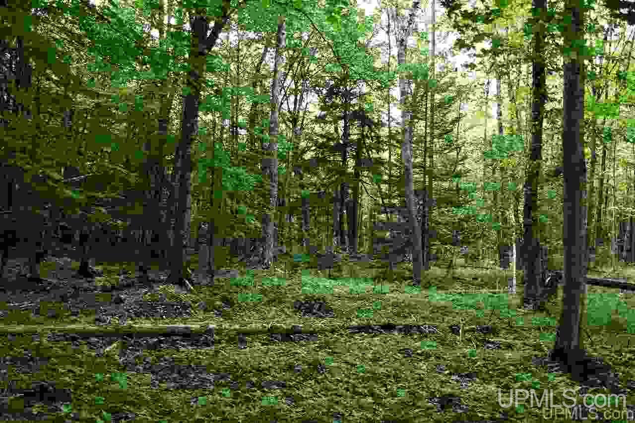 Tbd Tbd Jimtown (15 Lane) Road Menominee, MI 49858 - Photo 5 of 20