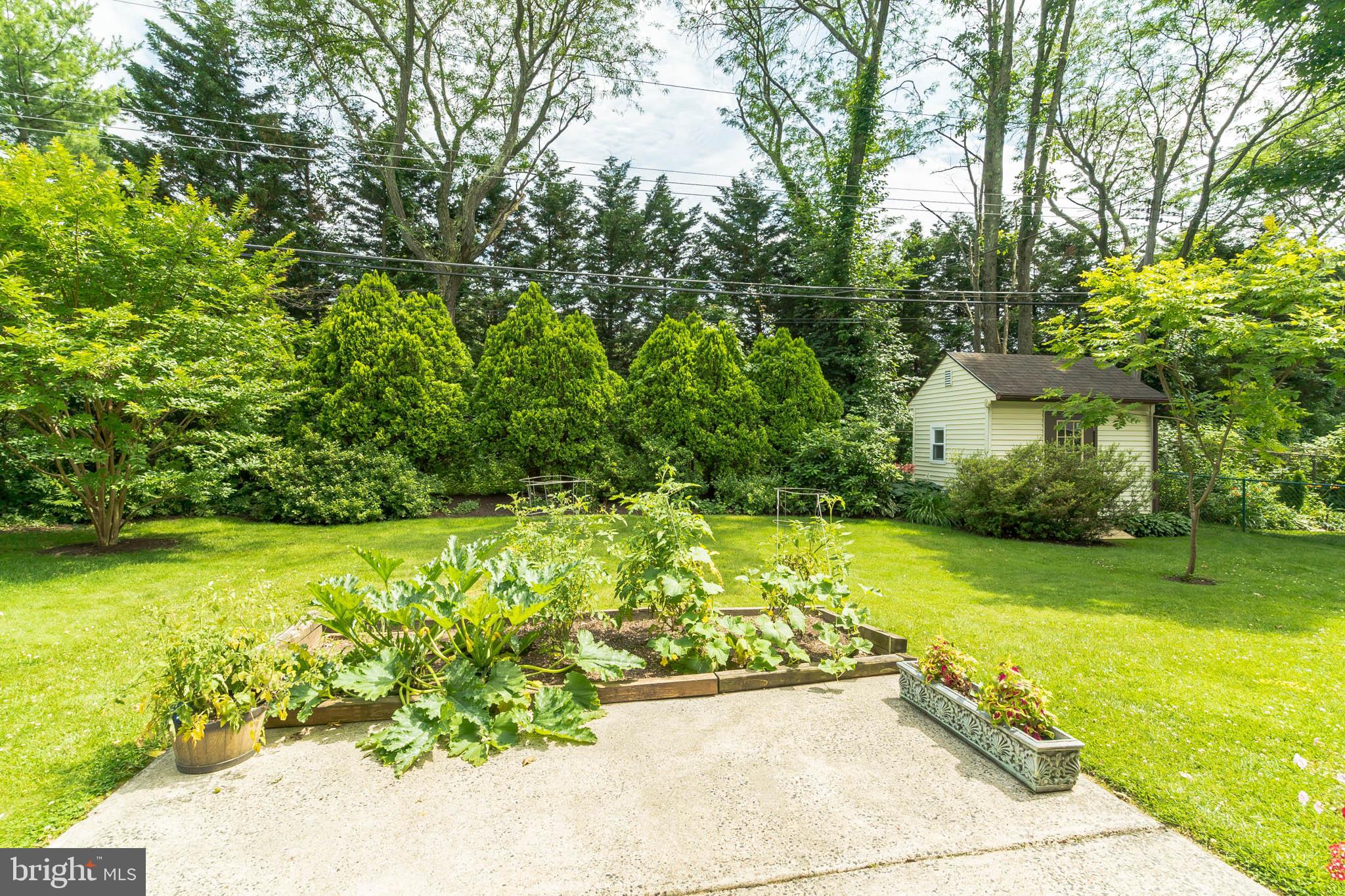 3177 Maple Road Huntingdon Valley, PA 19006 - Photo 24 of 27 Back yard