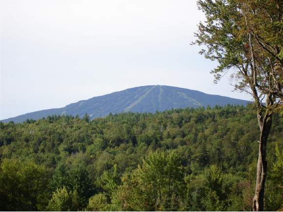 French Hollow Road Winhall, VT 05340 - Photo 1 of 1 Gallery Image 1