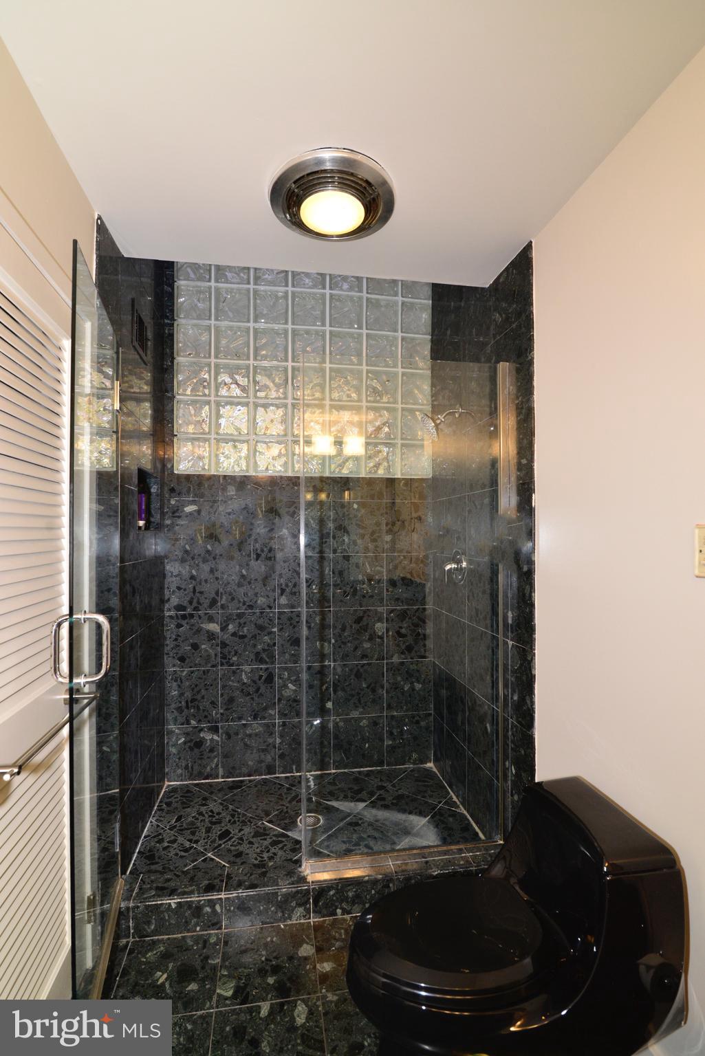 1934 Upper Lake Drive Reston, VA 20191 - Photo 54 of 60 The bathroom also has a marble shower.