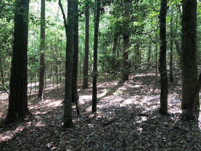 6-ac Lester Bell Road Brantley, AL 36009 - Photo 1 of 14 Gallery Image 1