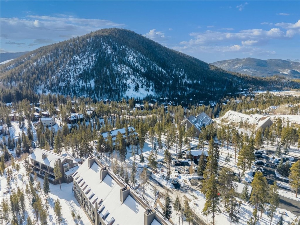 21650 Highway 6, Unit 2106 Keystone, CO 80435 - Photo 42 of 44 a view of lake and mountain