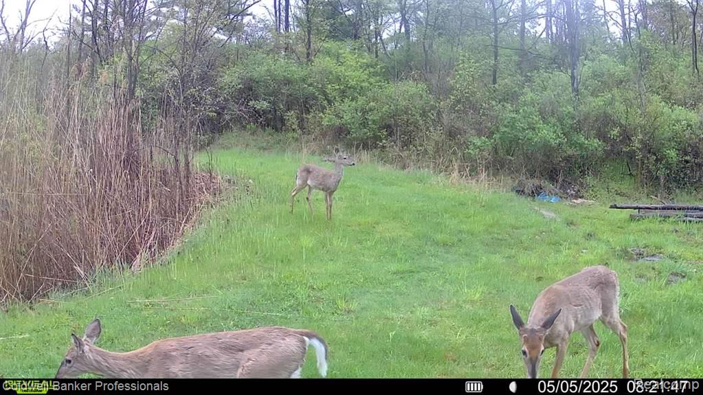 Vl Rattle Run Road St. Clair, MI 48079 - Photo 35 of 45 Gallery Image 35
