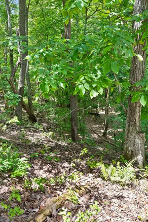 $65,000 | 0 Preservation Drive, South Pittsburg, TN 37380