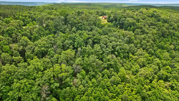 a view of a green field with lots of bushes