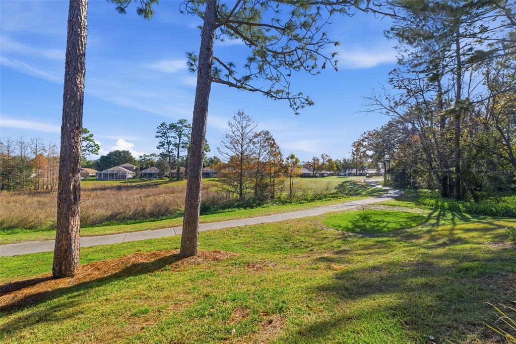 15150 Surrey Bend Spring Hill, FL 34609 - Photo 34 of 72