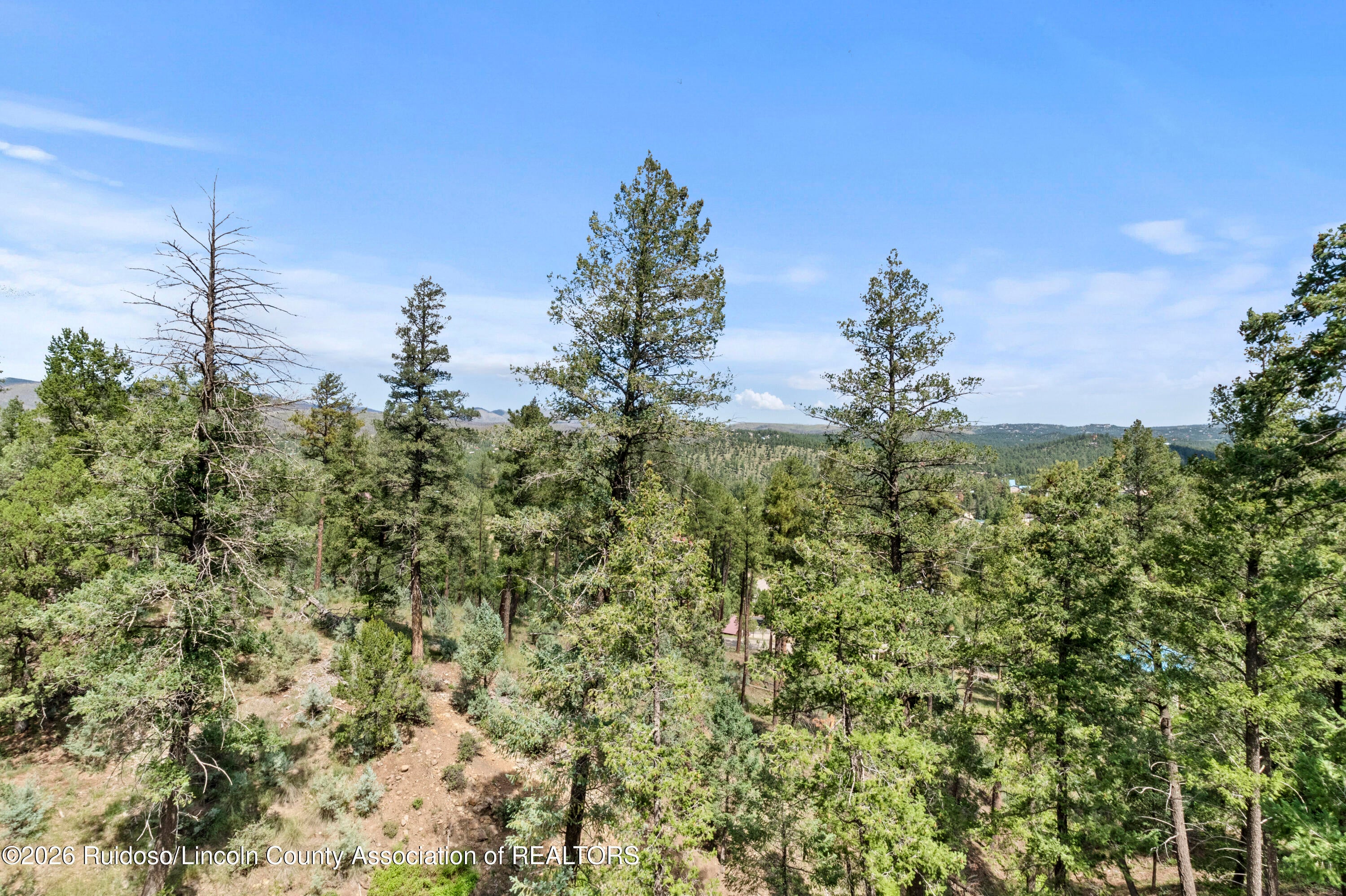 204 Mountain High Circle Ruidoso, NM 88345 - Photo 100 of 120 Gallery Image 100