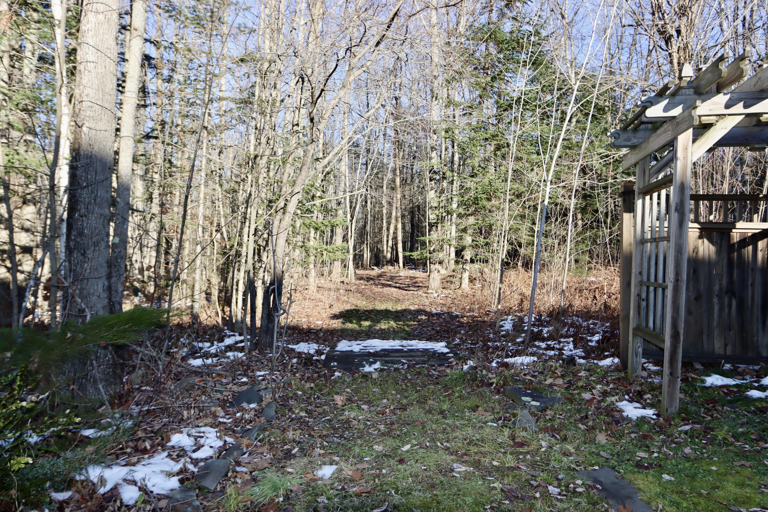 753 Brighton Hill Road Minot, ME 04258 - Photo 63 of 80 back yard