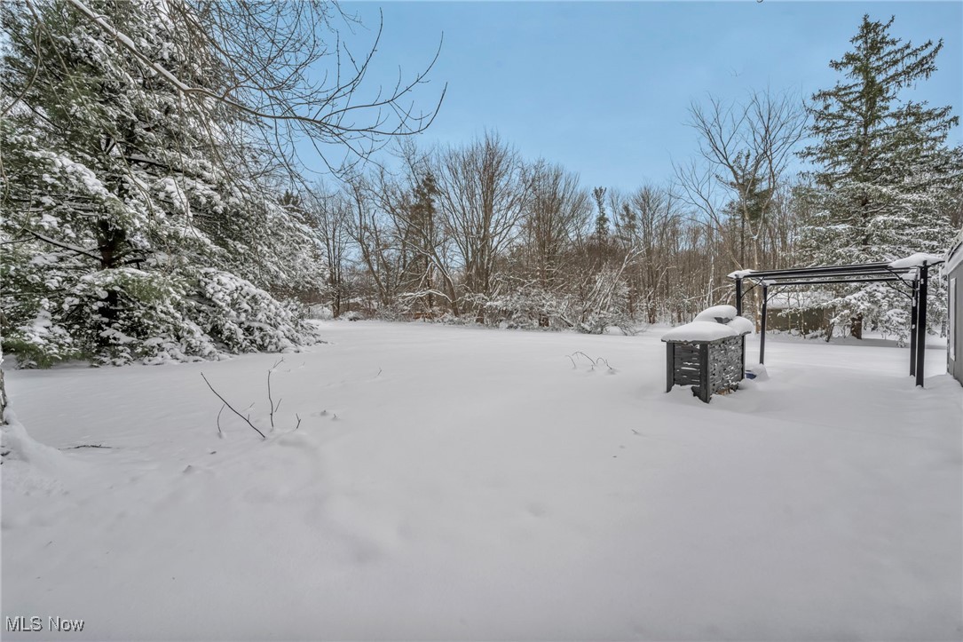 8564 Cedar Road Chesterland, OH 44026 - Photo 33 of 43