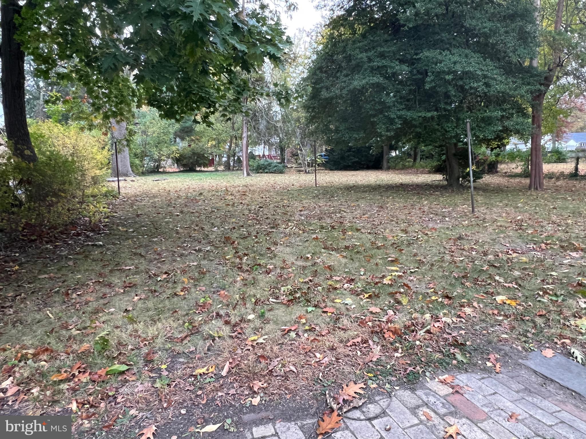 424 Jennings Street Beverly, NJ 08010 - Photo 43 of 43 a view of outdoor space with trees