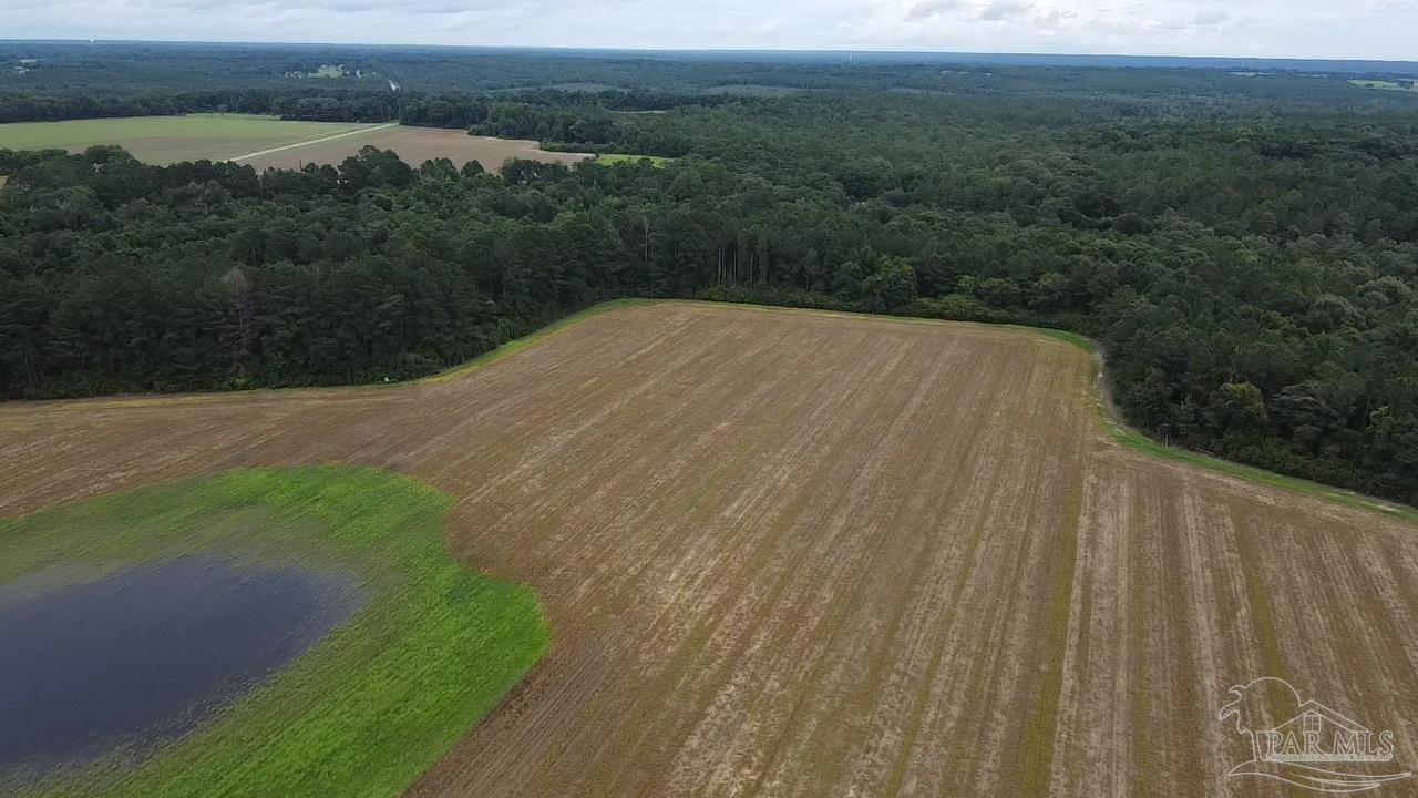 7600 Bratt Road Century, FL 32535 - Photo 12 of 41