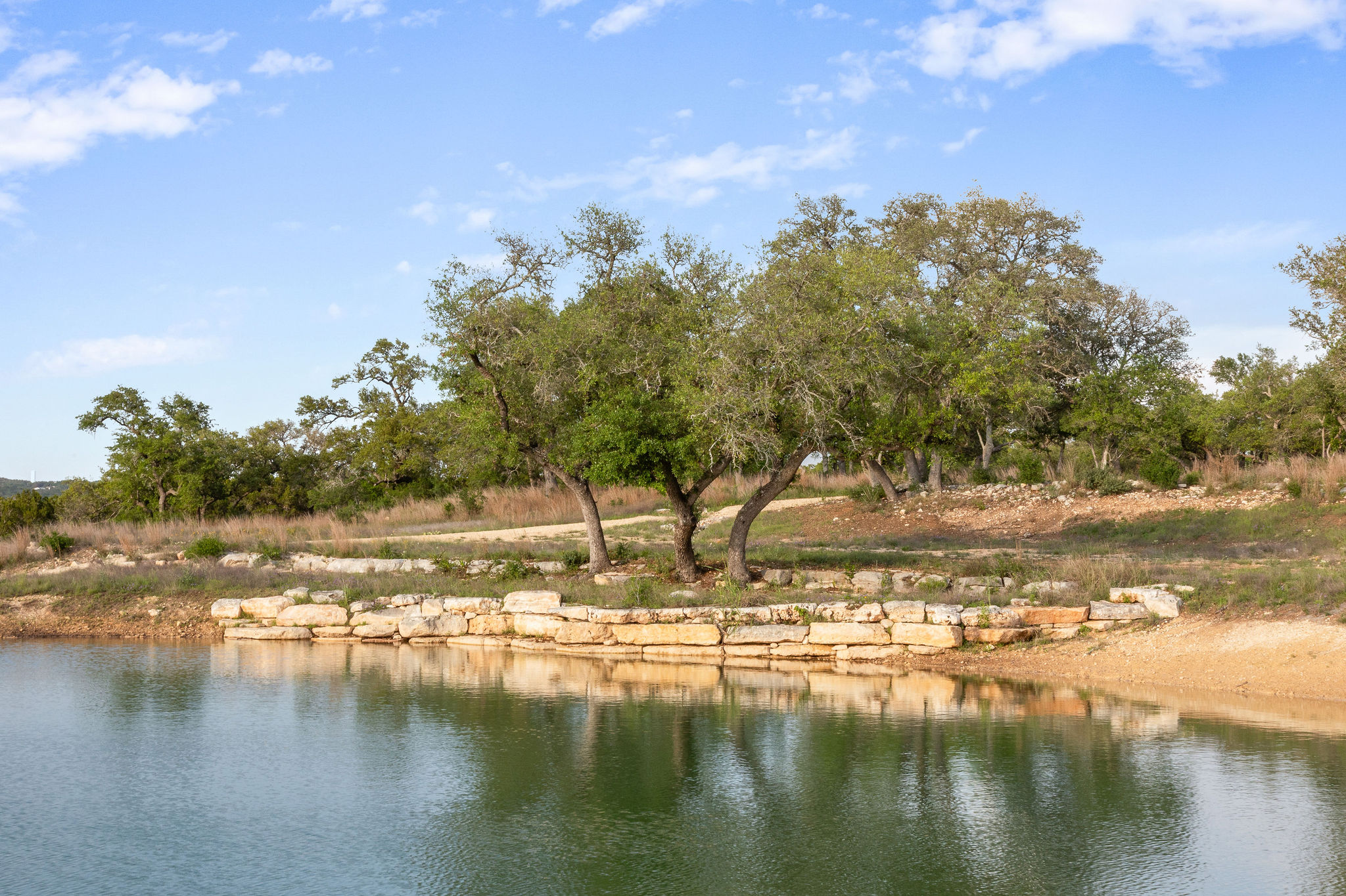 205 Mount Gainor Road Dripping Springs, TX 78620 - Photo 13 of 40