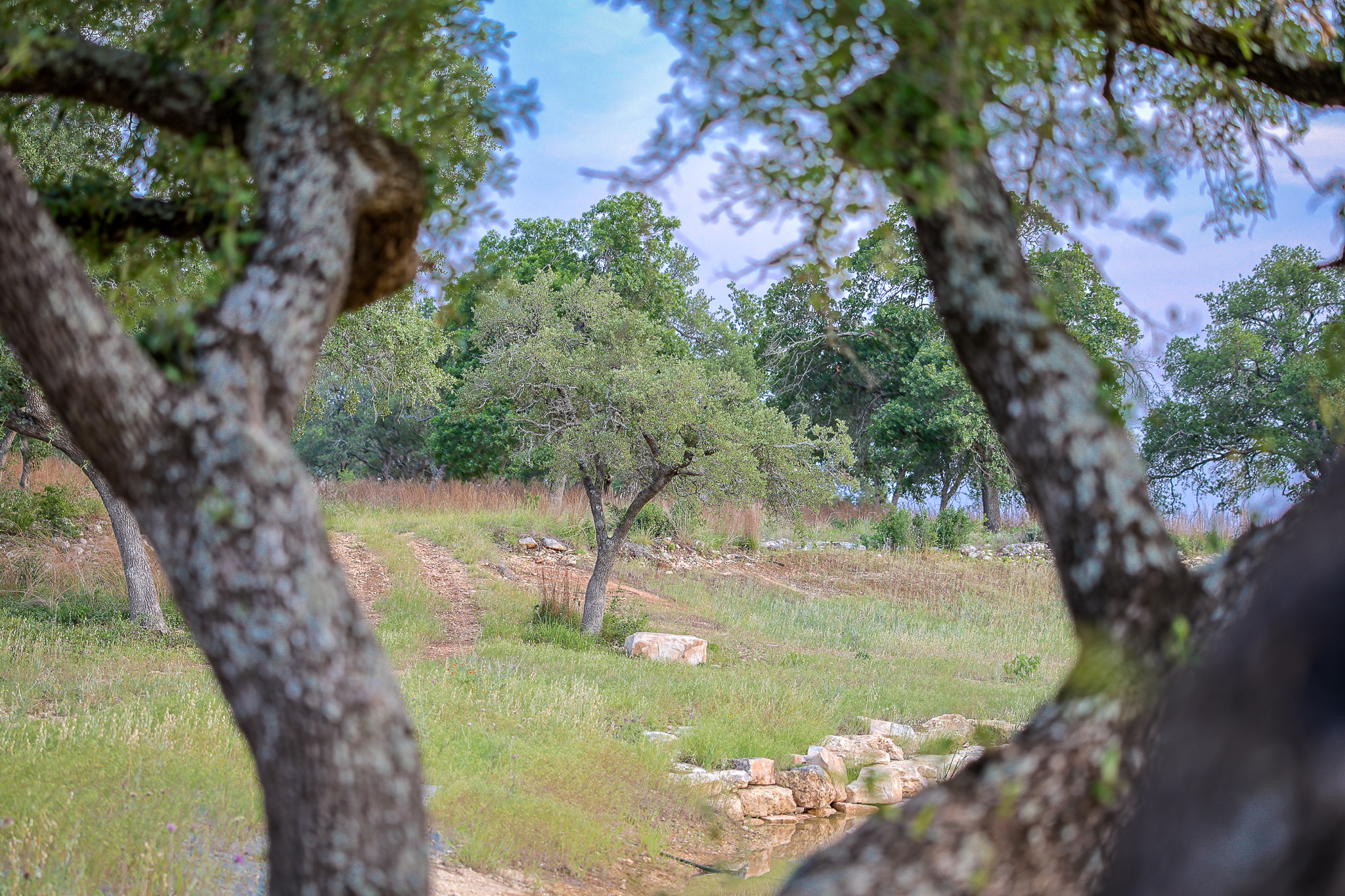 205 Mount Gainor Road Dripping Springs, TX 78620 - Photo 17 of 29