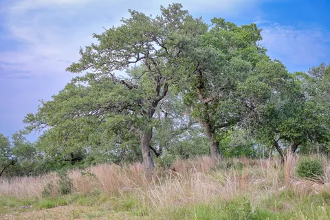 $2,190,000 | 205 Mount Gainor Road, Dripping Springs, TX 78620