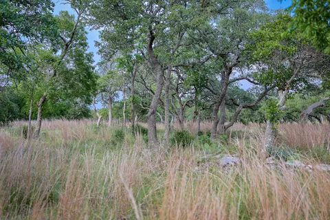 $2,190,000 | 205 Mount Gainor Road, Dripping Springs, TX 78620