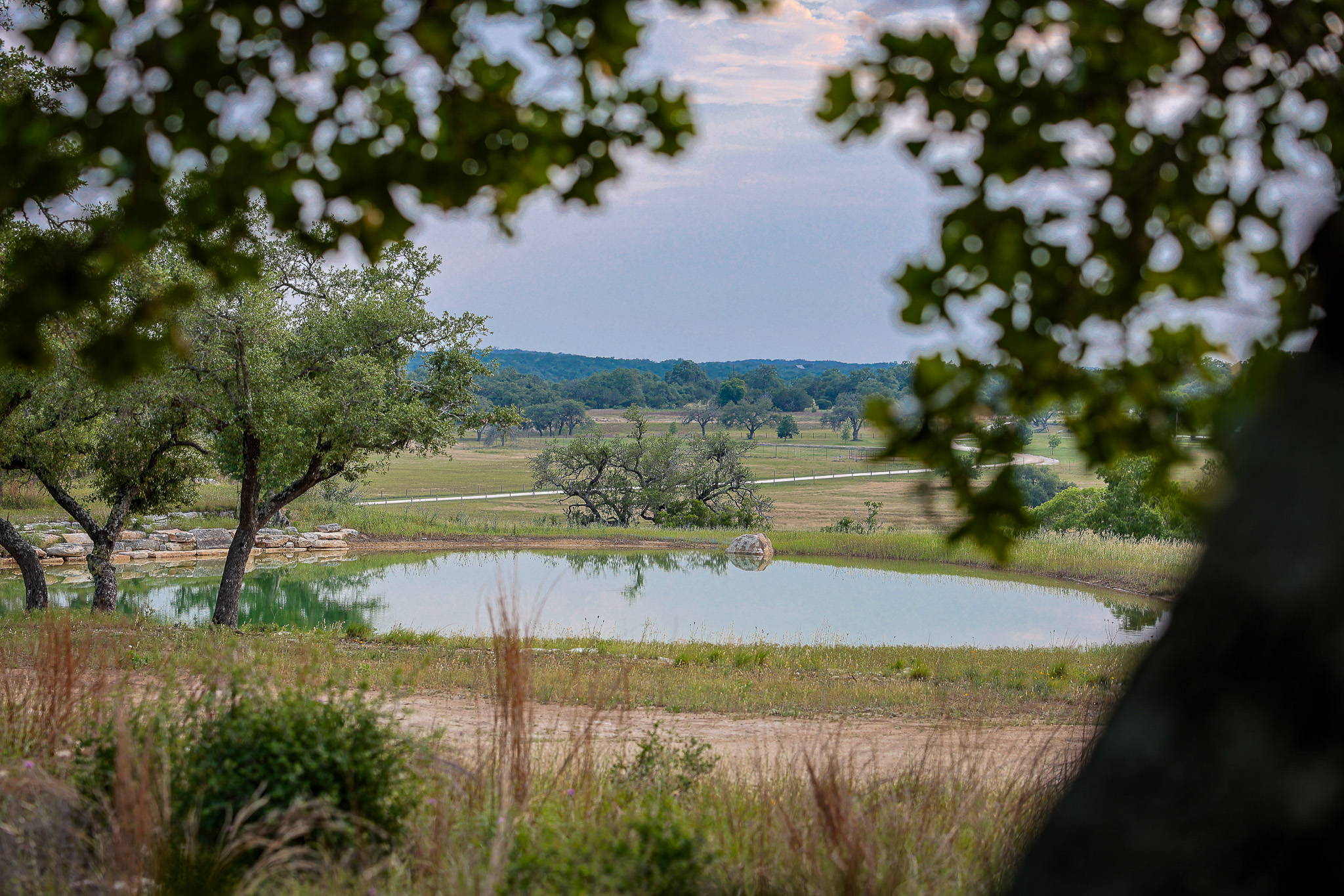 205 Mount Gainor Road Dripping Springs, TX 78620 - Photo 21 of 29