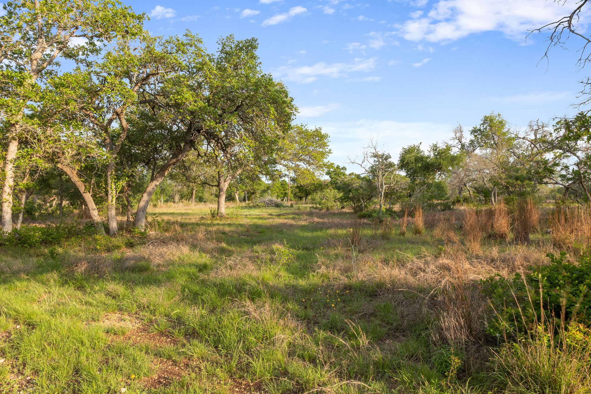 205 Mount Gainor Road Dripping Springs, TX 78620 - Photo 23 of 40