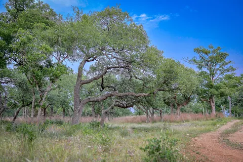 $2,190,000 | 205 Mount Gainor Road, Dripping Springs, TX 78620