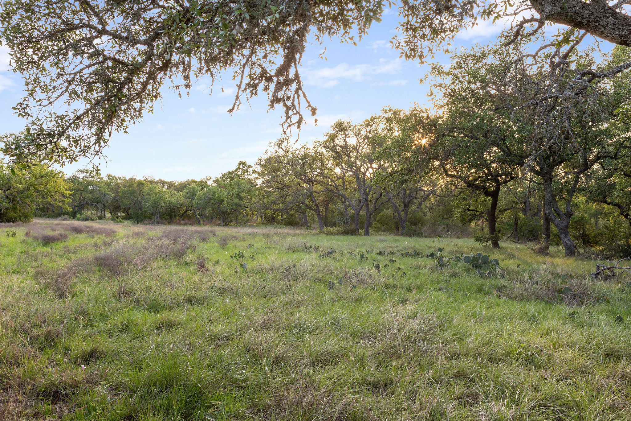 205 Mount Gainor Road Dripping Springs, TX 78620 - Photo 28 of 40